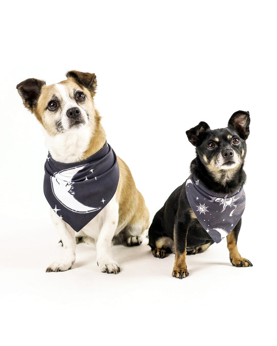 Celestial Pet Bandana - Dog or Cat