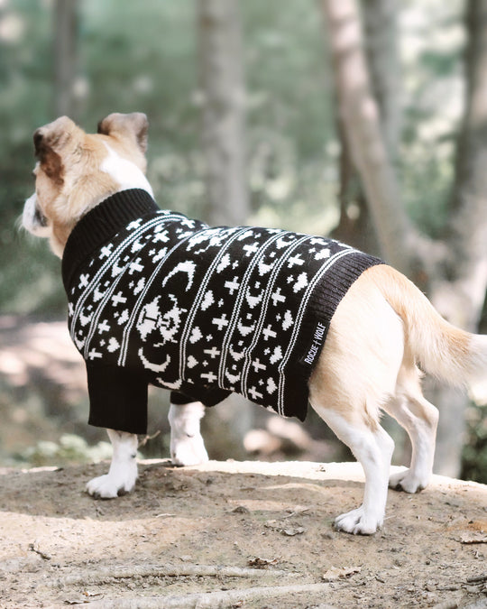 Sworn Enemy Knitted Pet Sweater - Dog or Cat