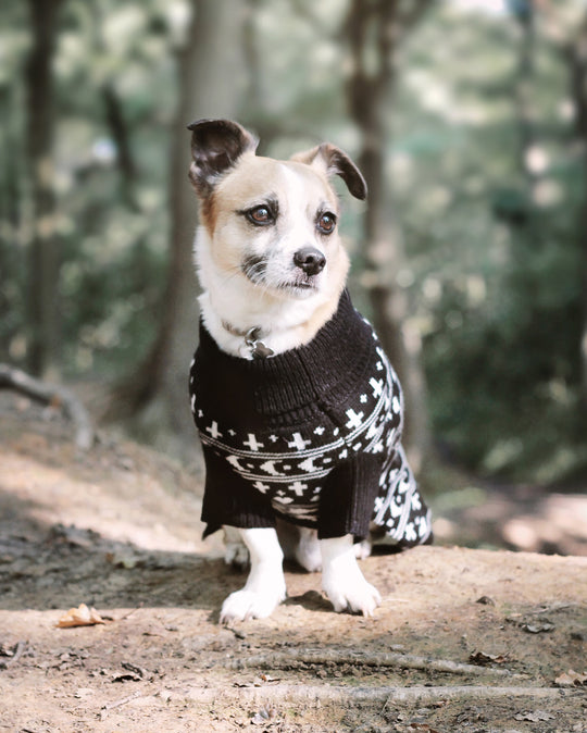 Sworn Enemy Knitted Pet Sweater - Dog or Cat