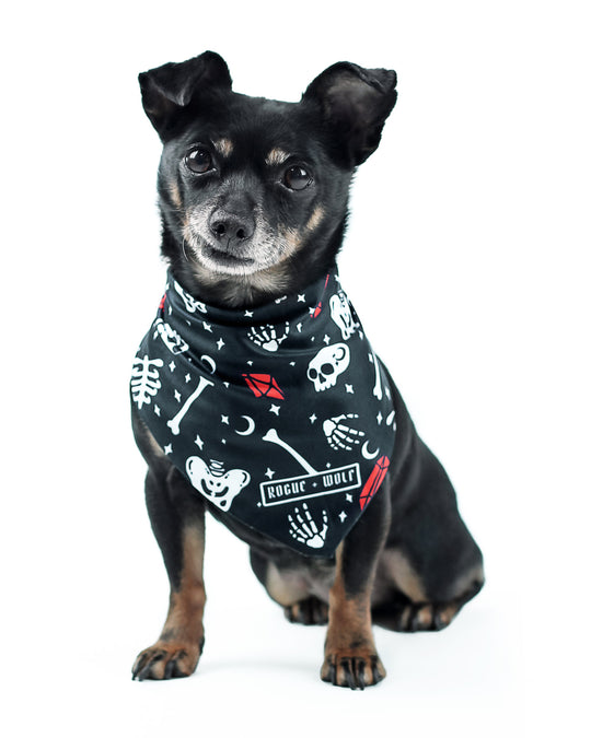 You Can't Dig With Us Pet Bandana - Dog or Cat