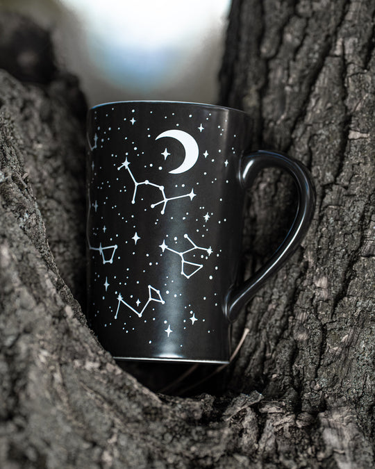 Voyager Mug