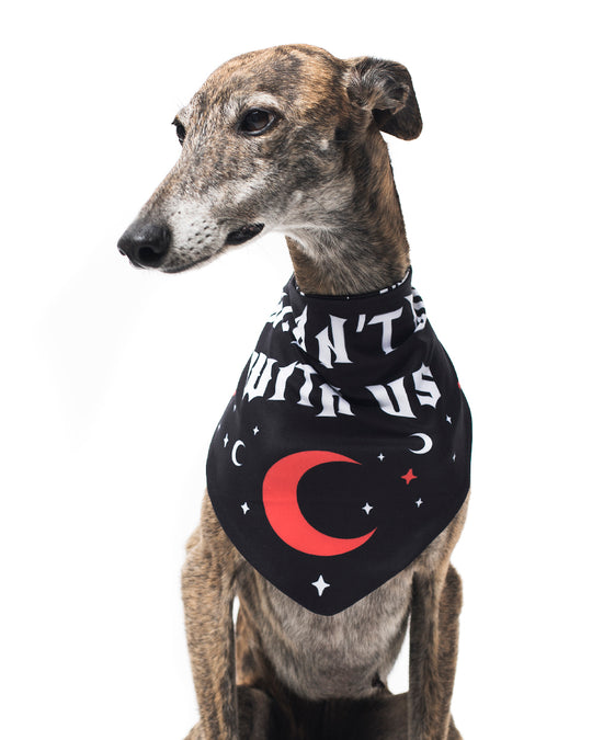 You Can't Dig With Us Pet Bandana - Dog or Cat