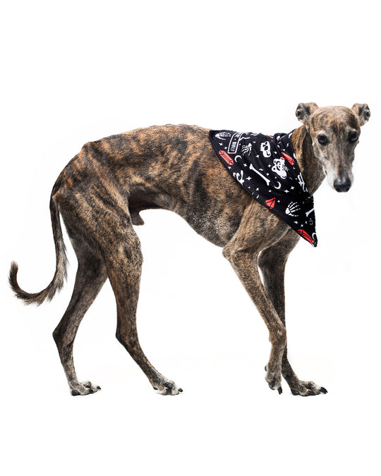 You Can't Dig With Us Pet Bandana - Dog or Cat