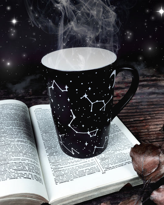 Voyager Mug