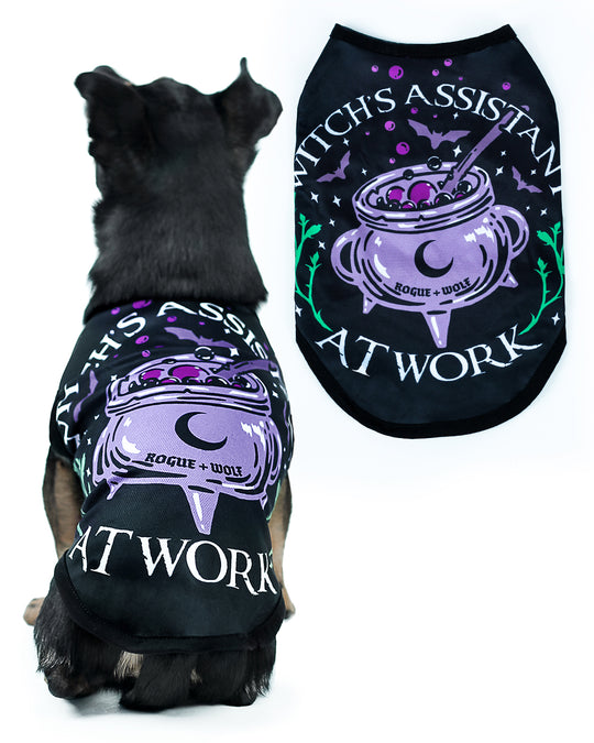 Witch's Assistant at Work Pet Vest - Dog or Cat