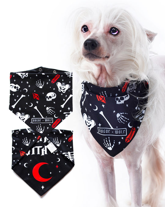 You Can't Dig With Us Pet Bandana - Dog or Cat