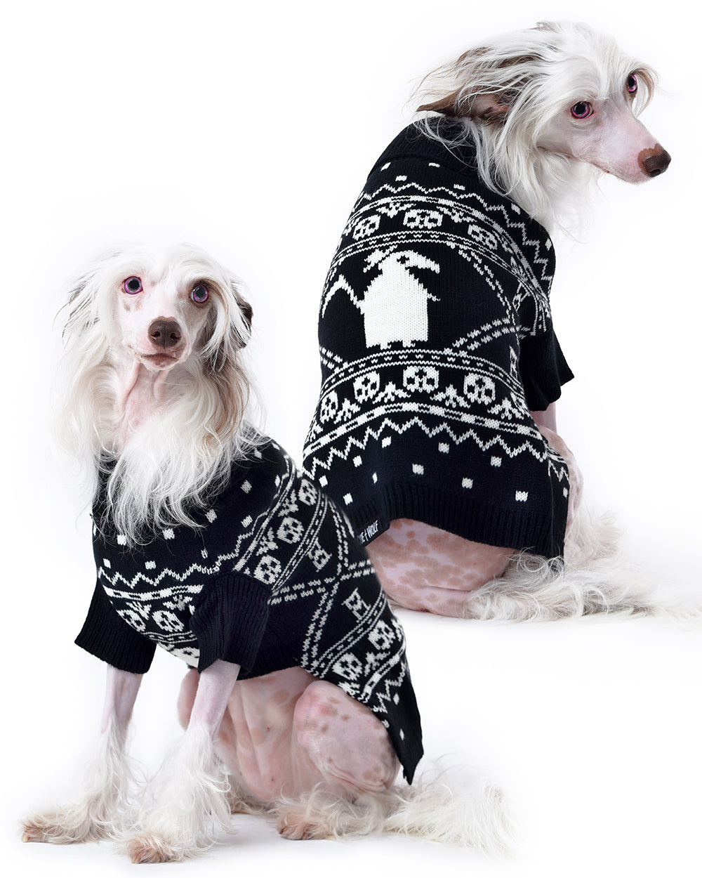 sweater for dogs