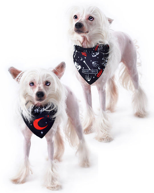 You Can't Dig With Us Pet Bandana - Dog or Cat