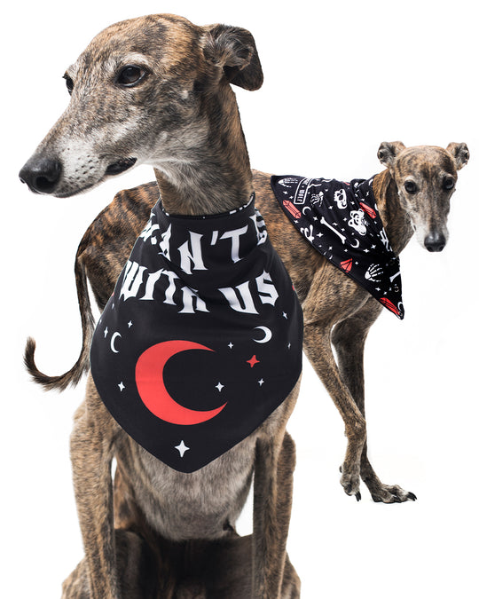 You Can't Dig With Us Pet Bandana - Dog or Cat