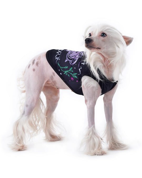 Witch's Assistant at Work Pet Vest - Dog or Cat