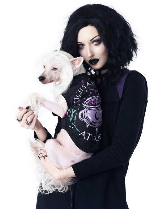 Witch's Assistant at Work Pet Vest - Dog or Cat