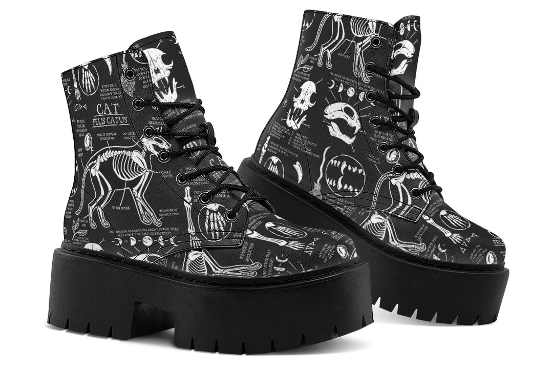 Cat Study Platform Boots