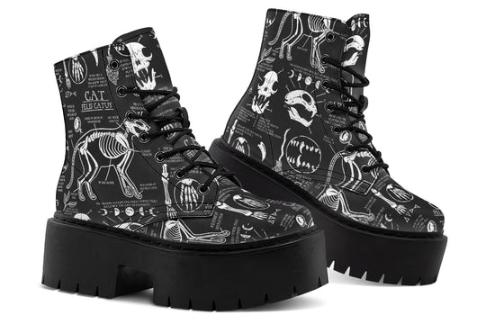 Cat Study Platform Boots