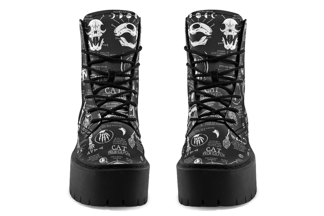 Cat Study Platform Boots