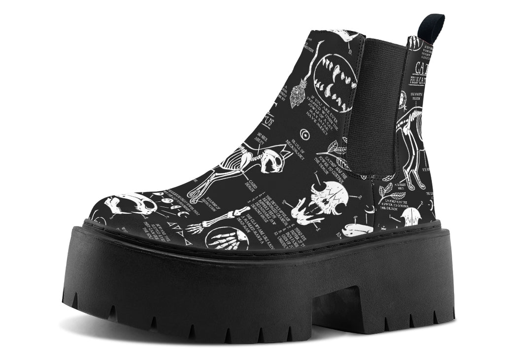 Cat Study Platform Chelsea Boots