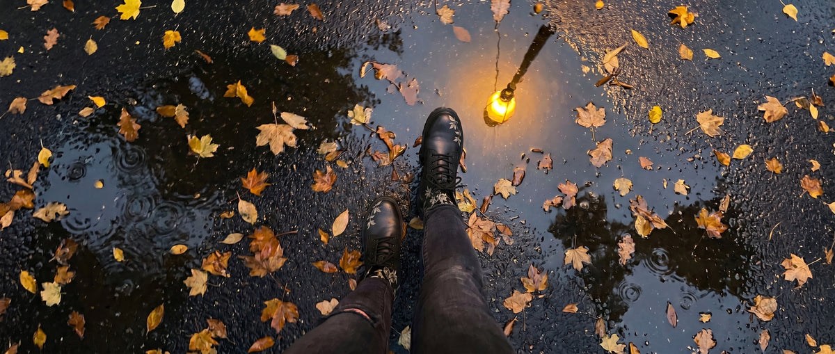 Black Night Ivy Boots from All Boots