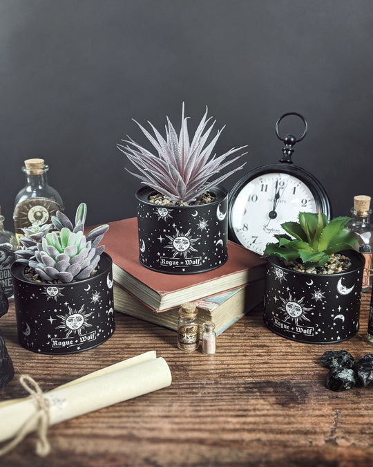 Set of 3 Artificial Celestial Succulents Plants in Pots