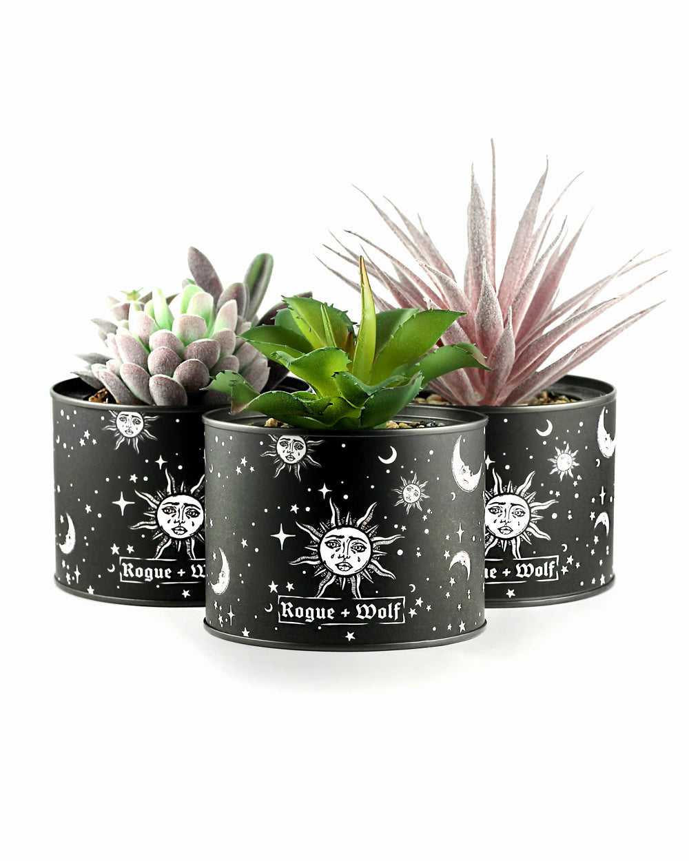 Set of 3 Artificial Celestial Succulents Plants in Pots