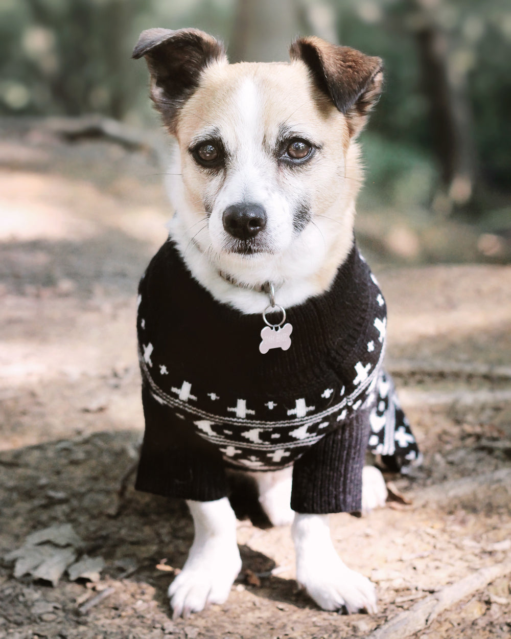 Sworn Enemy Knitted Pet Sweater - Dog or Cat – Rogue + Wolf