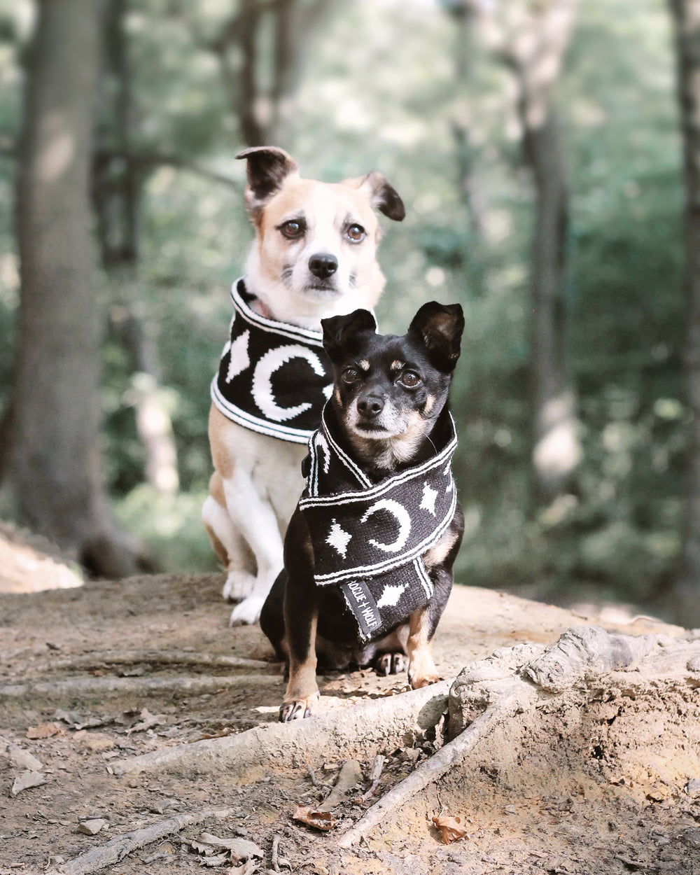 Moon Pupper Scarf - Dog or Cat