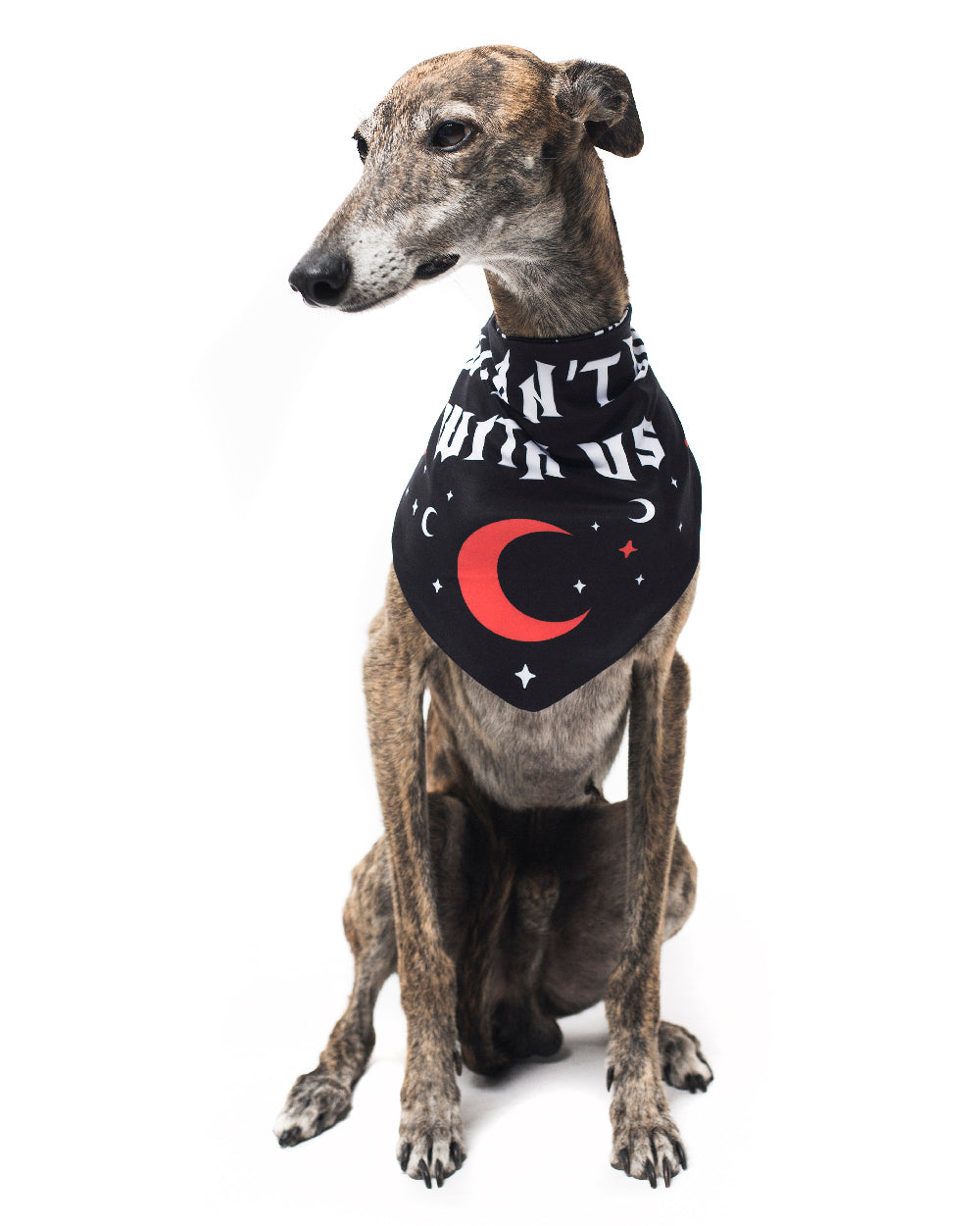 You Can't Dig With Us Pet Bandana - Dog or Cat