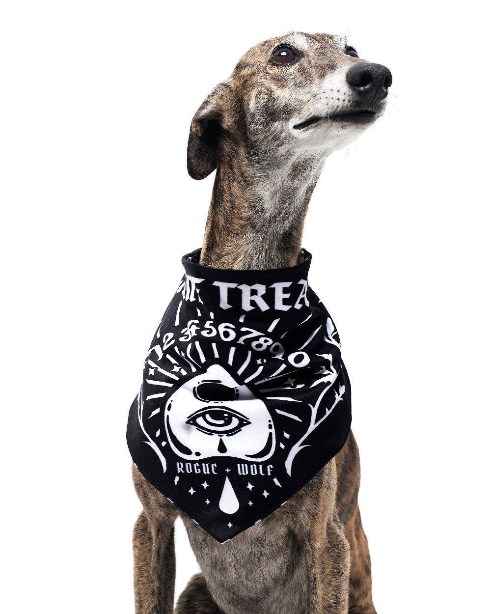 Give Me Treatos Ouija Pet Bandana - Dog or Cat