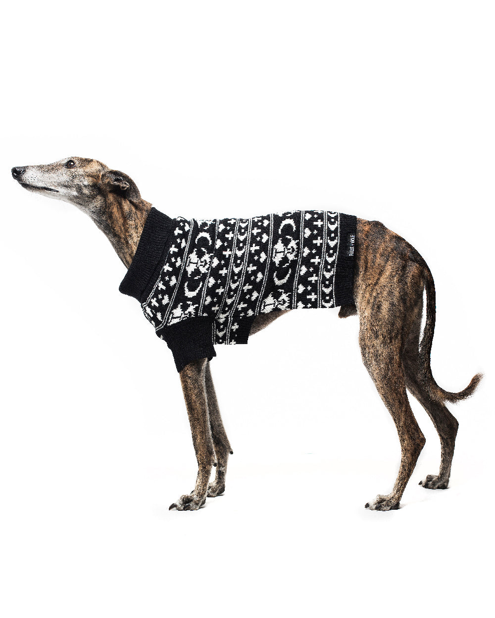 Sworn Enemy Knitted Pet Sweater - Dog or Cat