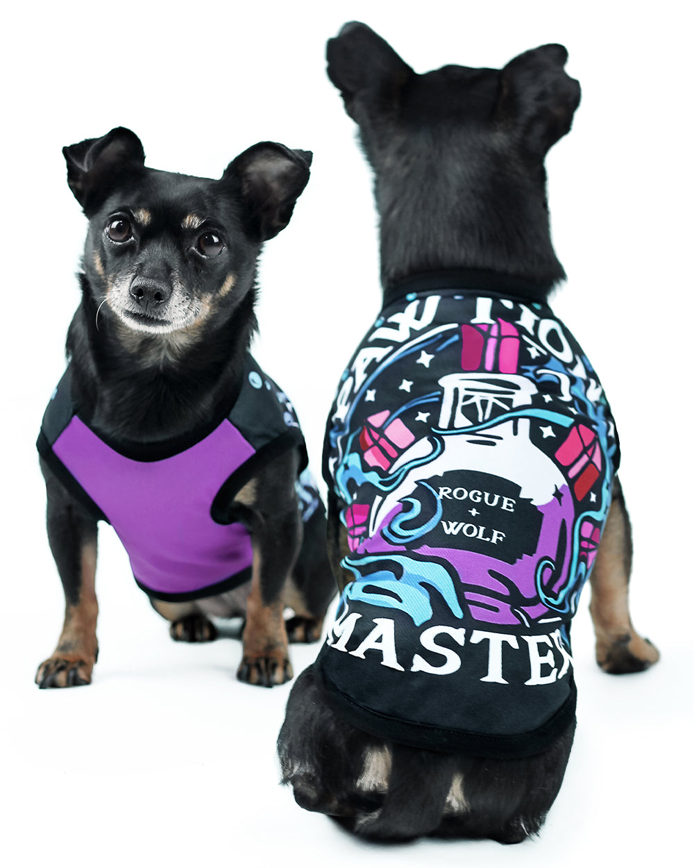 Pawtion Master Pet Vest - Dog or Cat